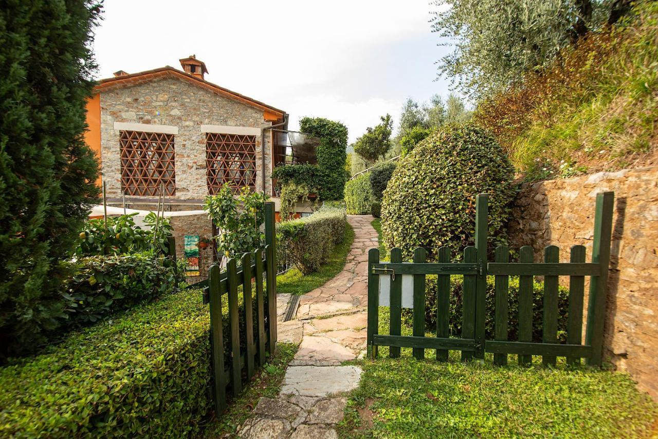 Casetta Di Butia, Ginestra Apartment With Swimming Pool Борго-а-Моццано Экстерьер фото