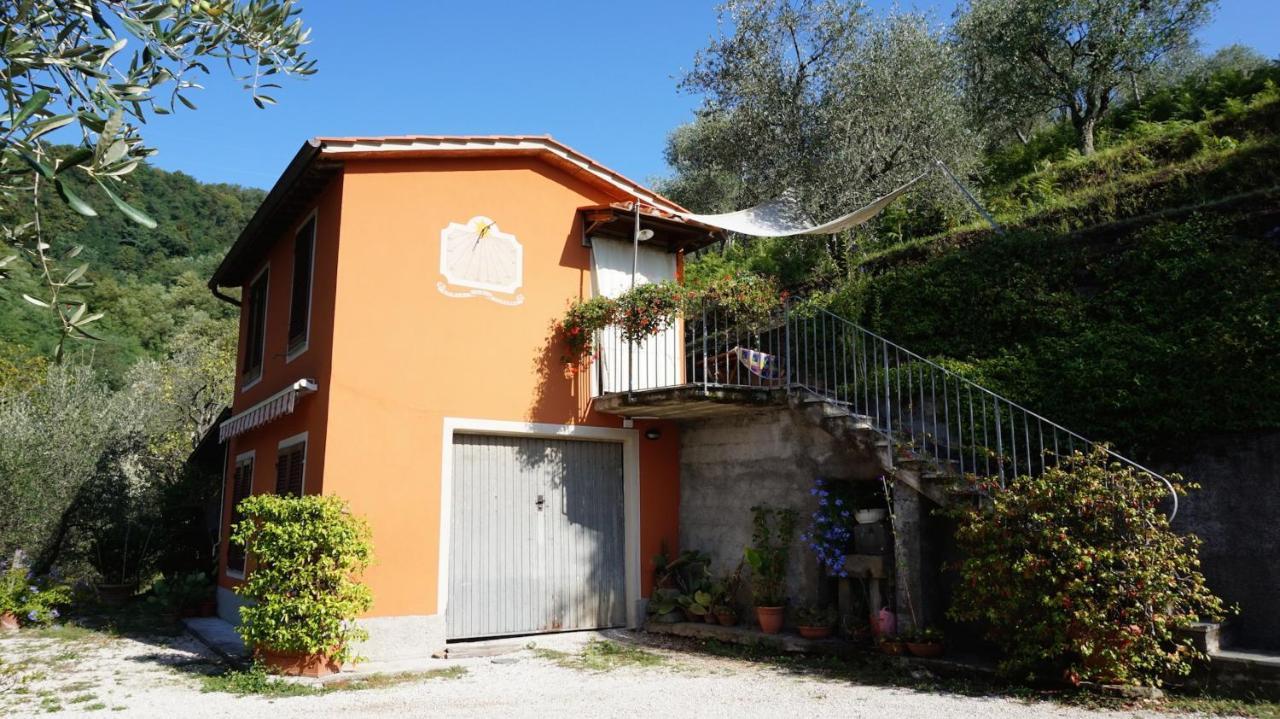 Casetta Di Butia, Ginestra Apartment With Swimming Pool Борго-а-Моццано Экстерьер фото