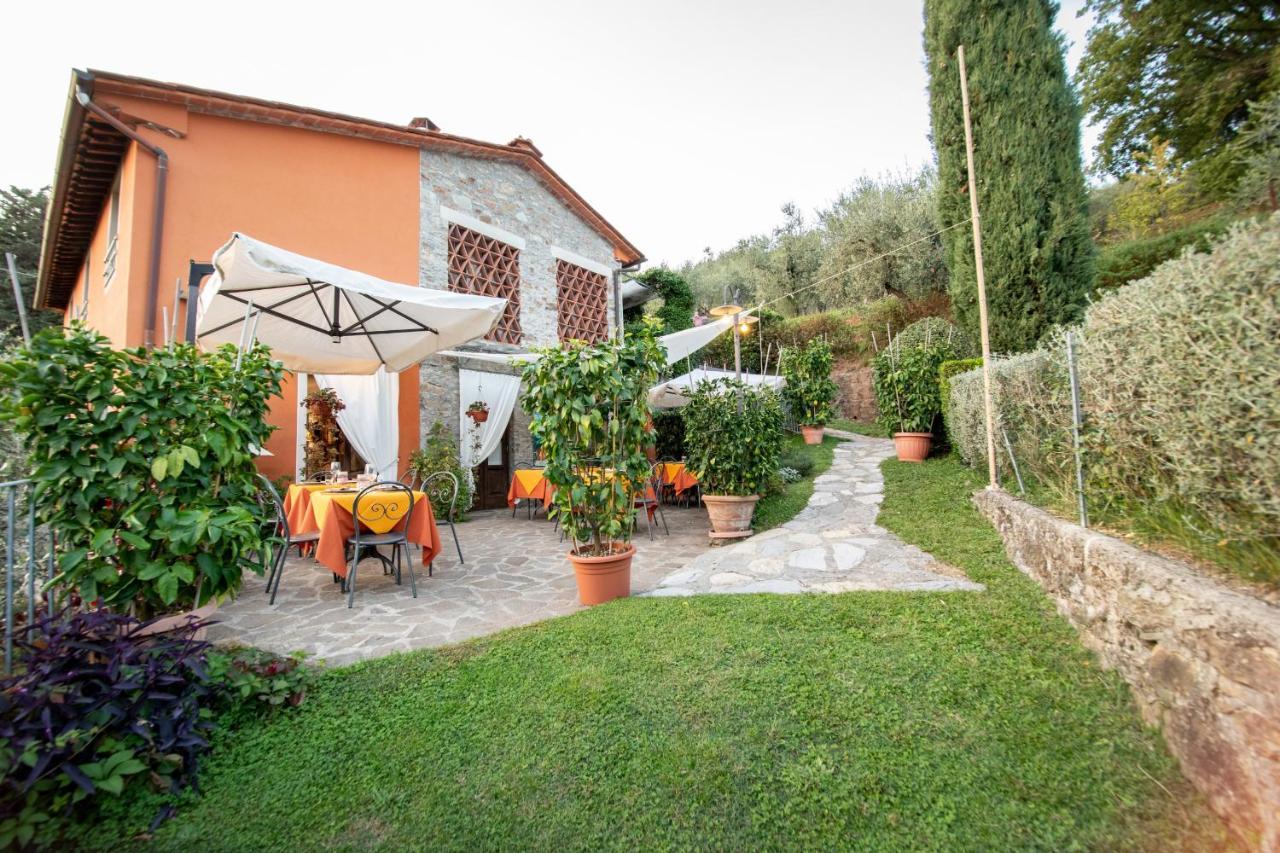 Casetta Di Butia, Ginestra Apartment With Swimming Pool Борго-а-Моццано Экстерьер фото