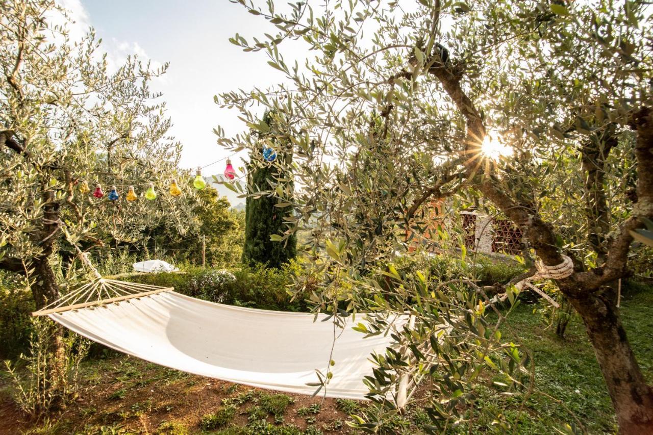 Casetta Di Butia, Ginestra Apartment With Swimming Pool Борго-а-Моццано Экстерьер фото