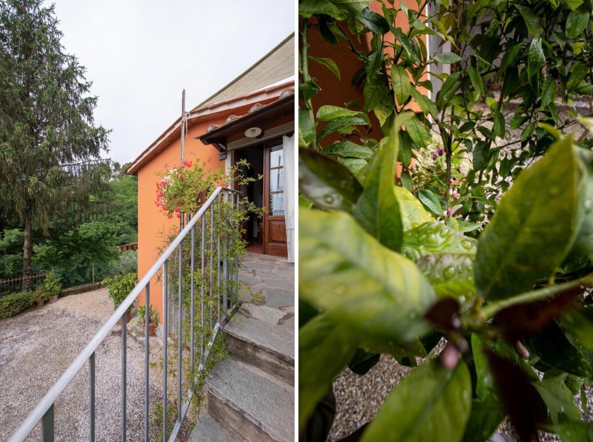 Casetta Di Butia, Ginestra Apartment With Swimming Pool Борго-а-Моццано Экстерьер фото