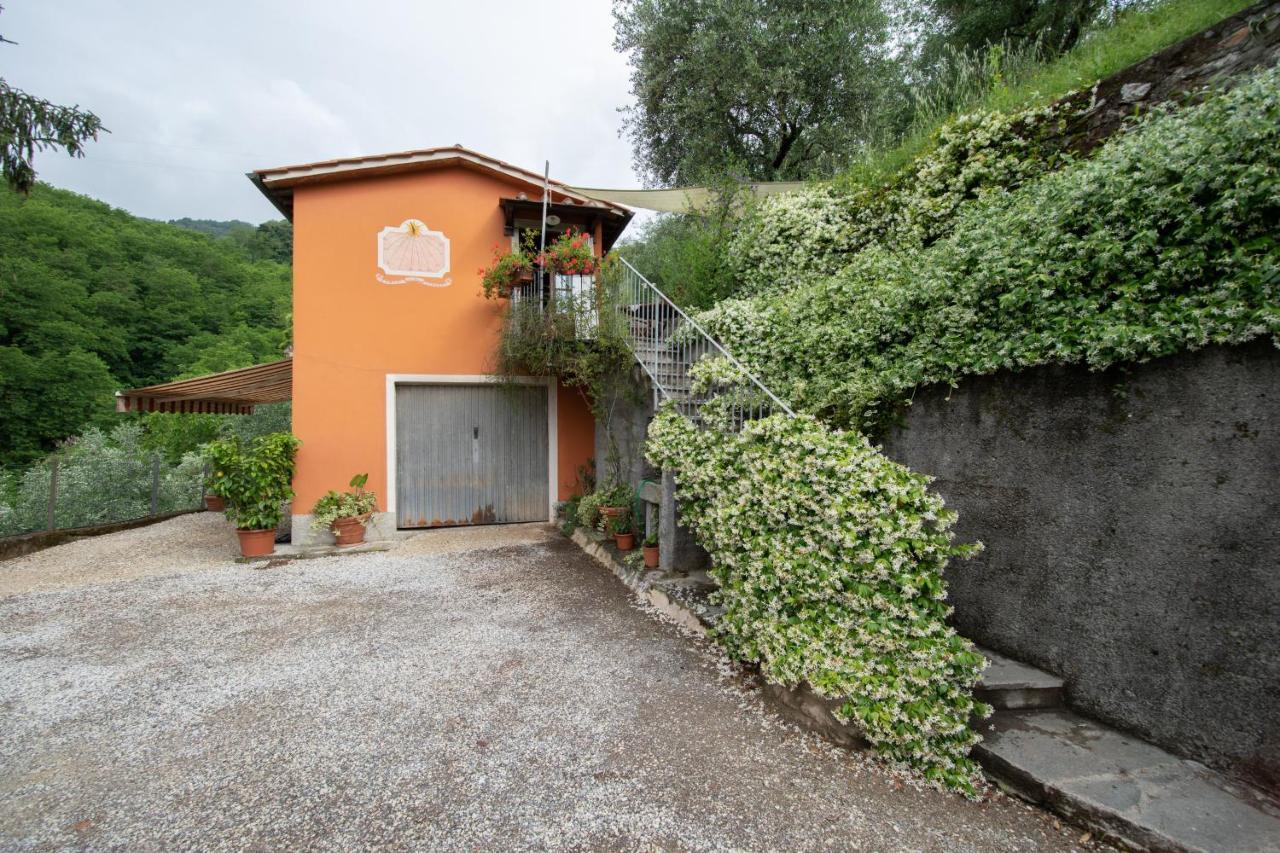 Casetta Di Butia, Ginestra Apartment With Swimming Pool Борго-а-Моццано Экстерьер фото