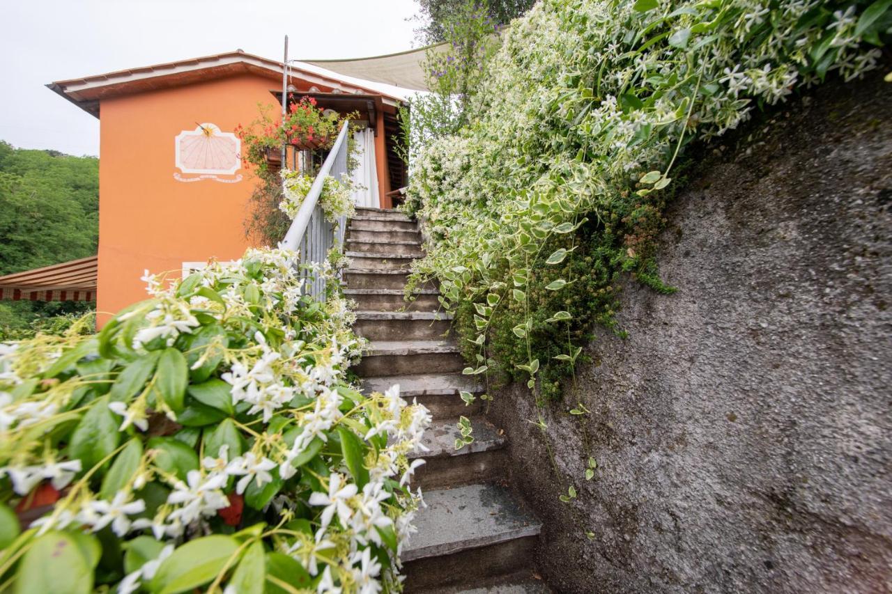 Casetta Di Butia, Ginestra Apartment With Swimming Pool Борго-а-Моццано Экстерьер фото